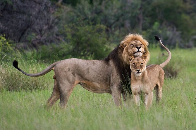 07-Days Murchison Falls, Queen Elizabeth & Gorillas Safari - Day 1: the Nile squeezes through Murchison Falls