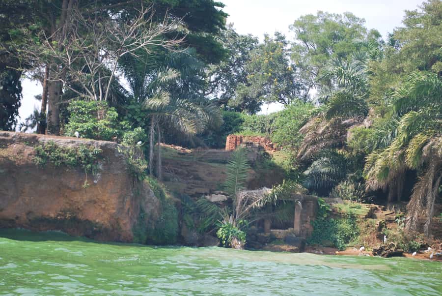 1-Day Best of Entebbe City Guided Walking Tour - Starting at Victoria Mall and finding Entebbe on foot