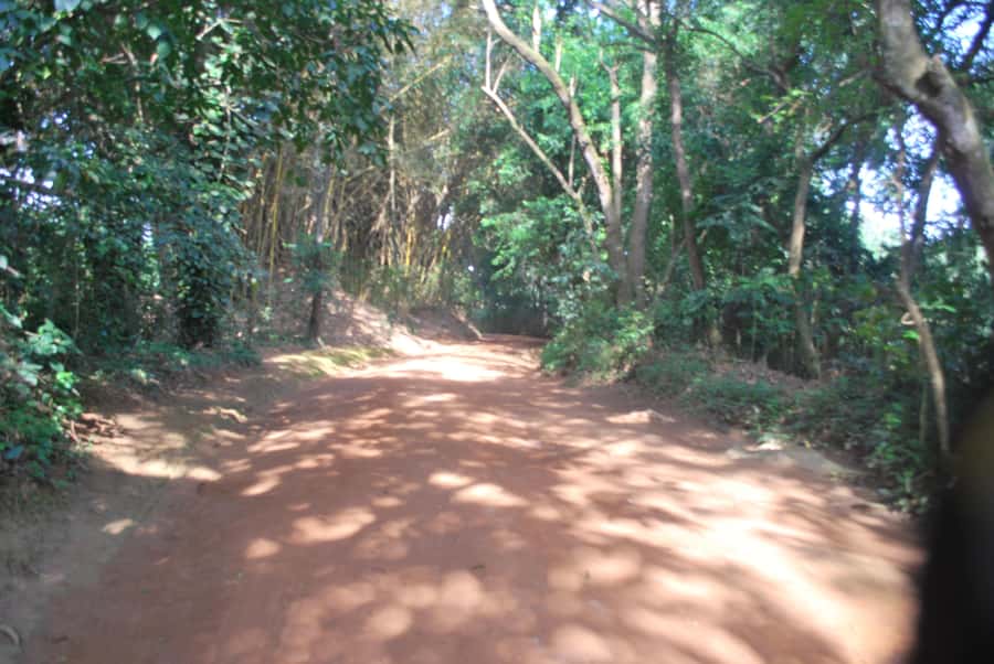 1-Day Best of Entebbe City Guided Walking Tour - Pearl Craft Village and souvenir shopping