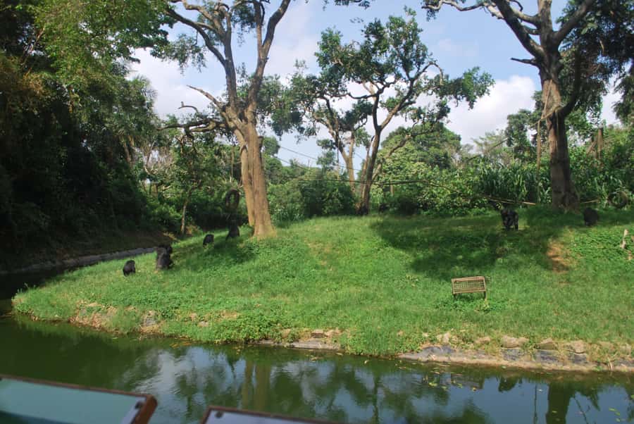 1-Day Best of Entebbe City Guided Walking Tour - What $58 buys, and what it does not