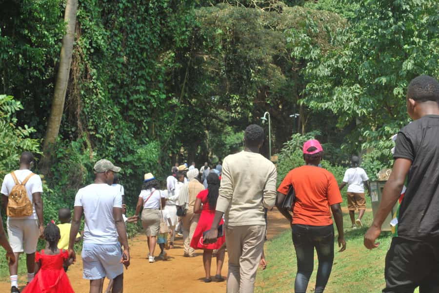 1-Day Best of Entebbe City Guided Walking Tour - Nambi fish market beside Lake Victoria