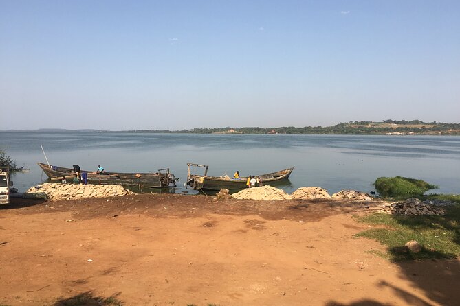 1 Day chimpanzee trekking at Ngamba Island - Leaving Kampala at 7:30 am