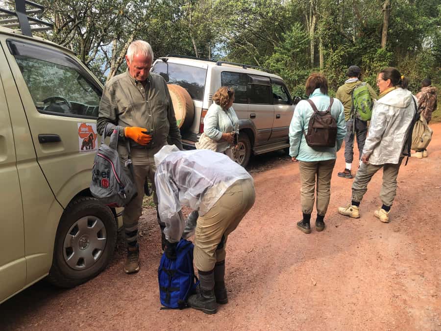 1 Day Gorilla Tour in Bwindi from Kigali - One hour with a mountain gorilla family