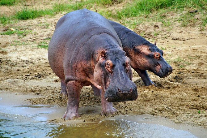 1 Day Lake Mburo National Park Short Safari from Kampala - The five lakes and their wildlife