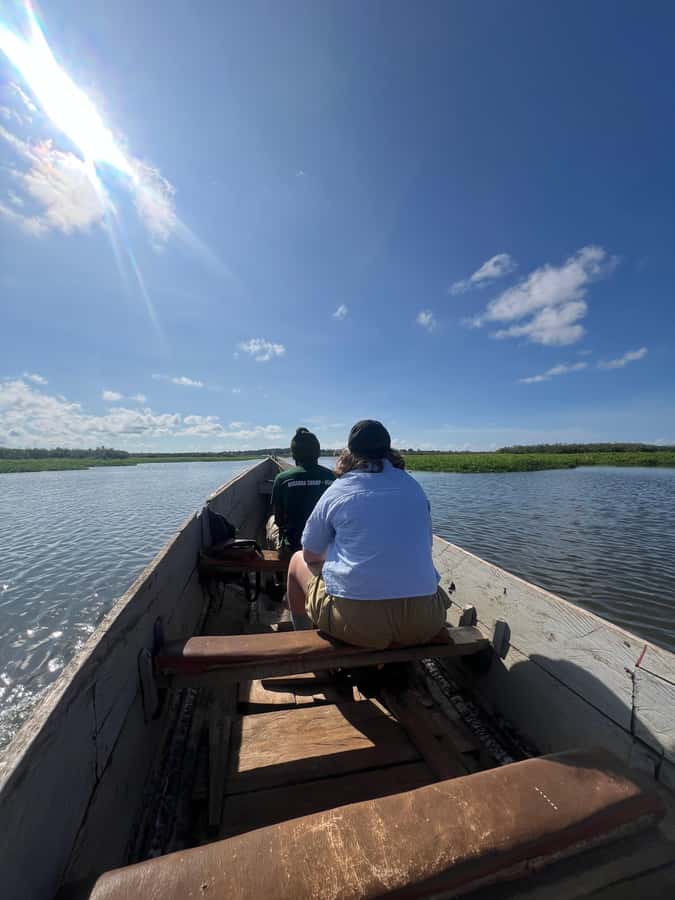 1-Day Mabamba Shoebill Birding Tour in Lake Victoria Entebbe - Finding the shoebill in Mabamba Swamp