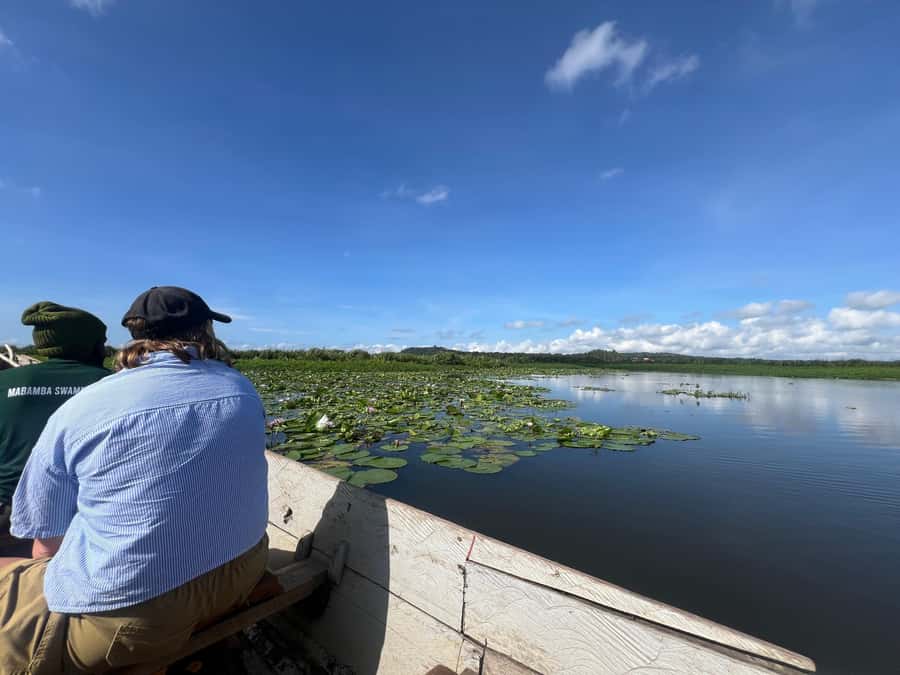 1-Day Mabamba Shoebill Birding Tour in Lake Victoria Entebbe - Is $165 a fair price?