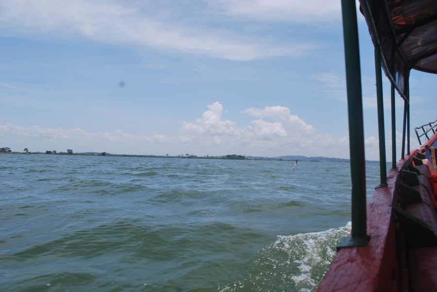 1-Day Mabamba Shoebill Birding Tour in Lake Victoria Entebbe - Leaving Entebbe early for Nakiwogo Landing Site