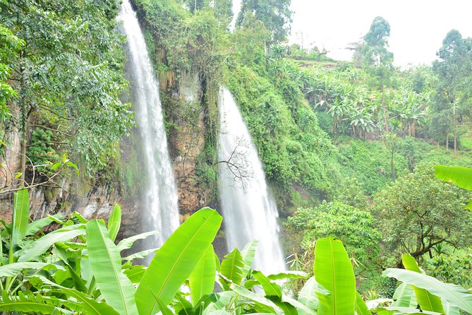 1 Day Sipi falls hike - How demanding is the walk?