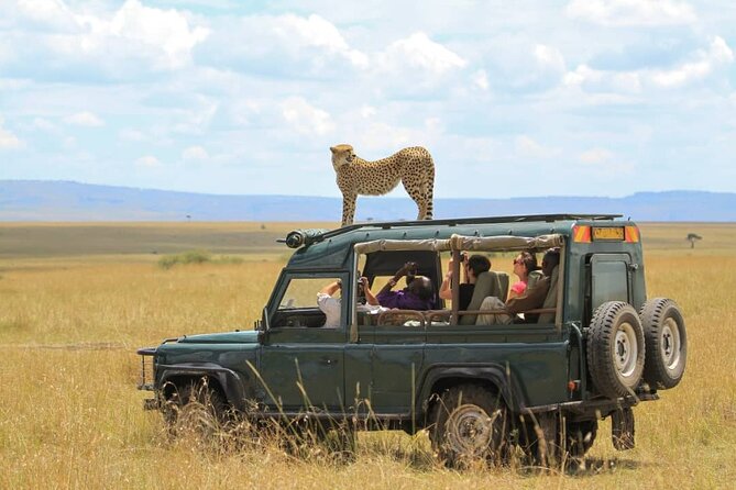 10-Day African Safari in Uganda from Kampala - Queen Elizabeth’s lions and the Kazinga Channel