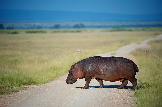 10-Day African Safari in Uganda from Kampala - The long return through the equator