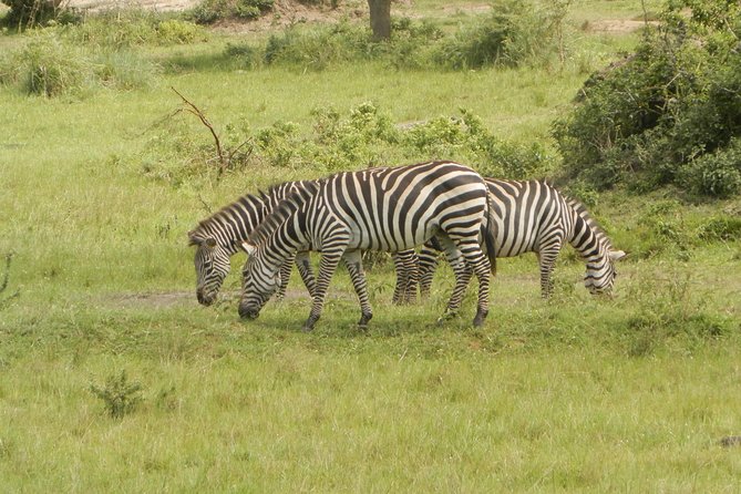 10 Day Best of Uganda Adventure Safari - Queen Elizabeth game drives and the Kazinga Channel