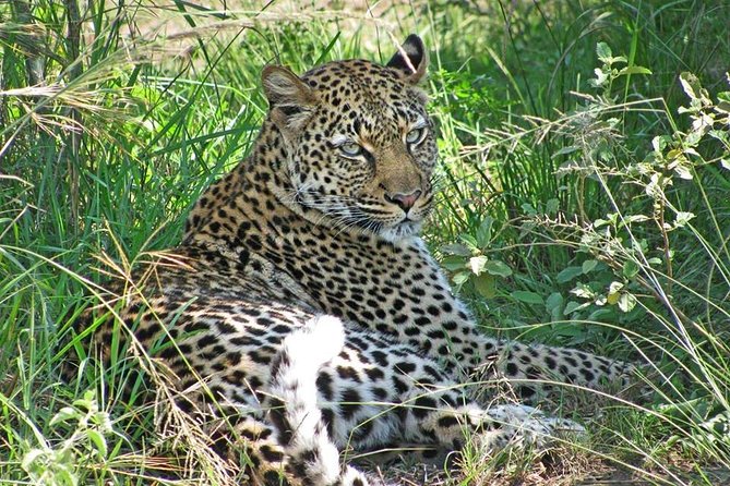 10 Day Best of Uganda Adventure Safari - Lake Mburo brings a gentler safari rhythm