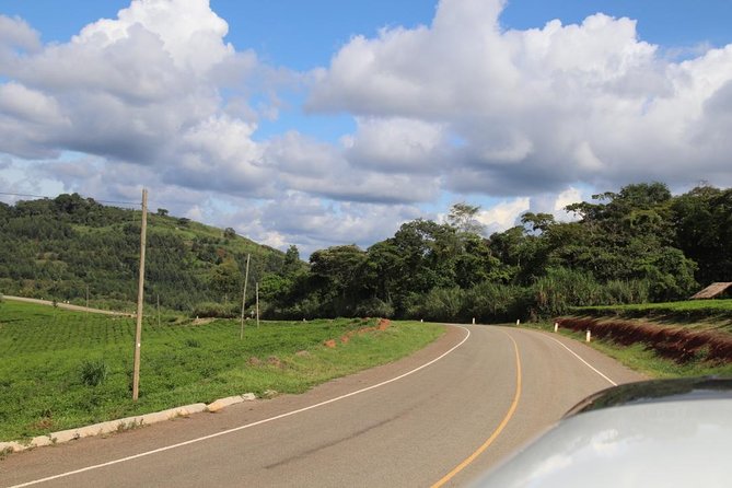 10 Day Western Uganda Budget Wildlife Safari - Day 6: From Queen Elizabeth to Bwindi