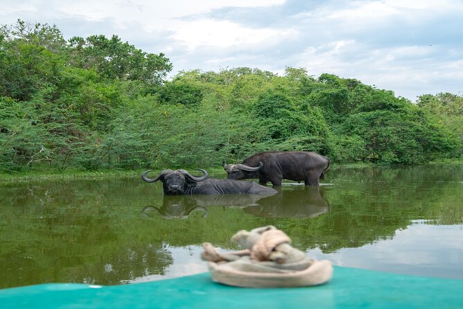10 Days Affordable Gorilla Trekking Holiday - Day 1: A gentle start in Entebbe
