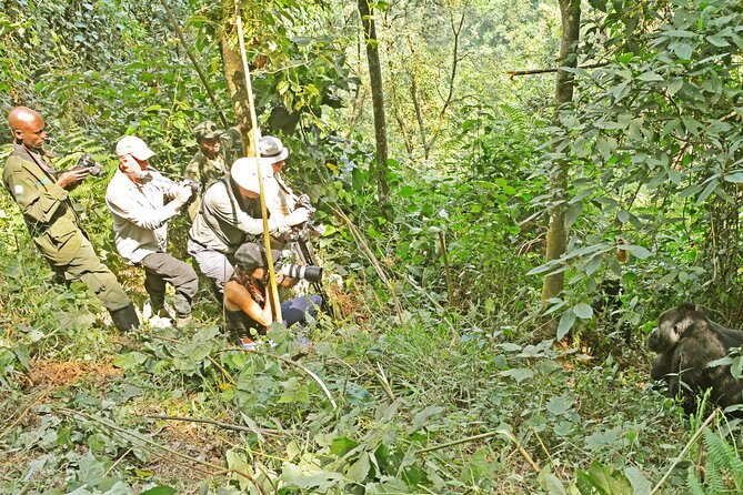 10 Days Affordable Gorilla Trekking Holiday - Day 5: Lions, plains, and the Kazinga Channel