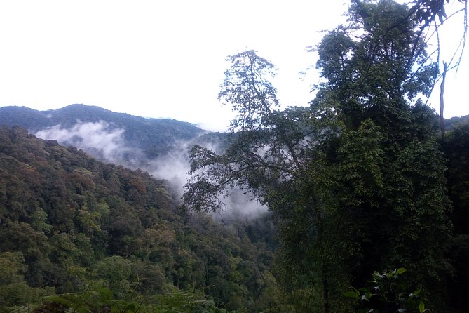 10 Days Uganda Gorilla & Chimpanzee Trekking Safari - Caves, Queen Elizabeth, and the Kazinga Channel