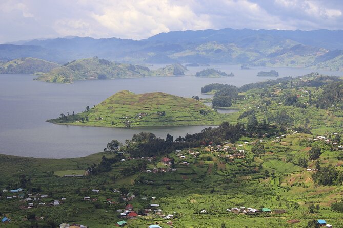 10-Days Uganda Gorillas and Chimpanzee Wildlife Discovery - Day 7: Early game viewing and the Kazinga Channel