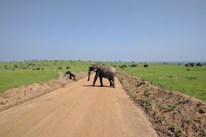 11 Days Uganda +Gorillas - What the private 4x4 setup means for you