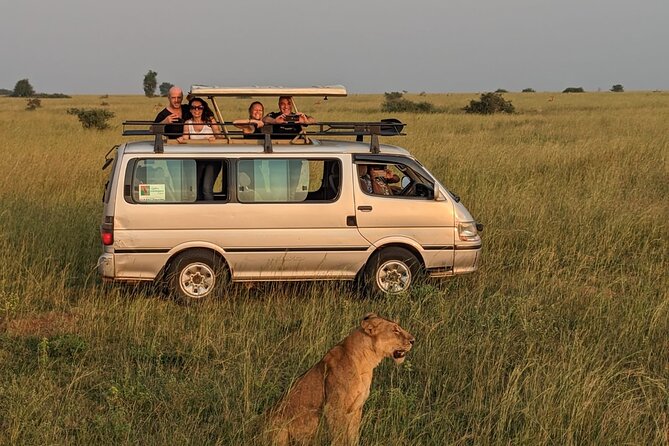 12-Day Moderately Priced Pearl of Africa - Uganda Private Safari - A big Uganda circuit for the price