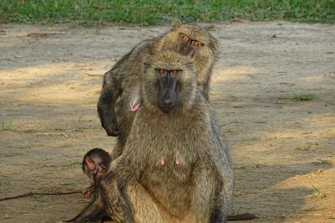 12 Days Memorable Experience tour in Uganda - Day 4: Moroto and a first look at Karamoja