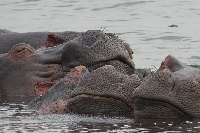 12 Days Memorable Experience tour in Uganda - Day 6: The long road to Kidepo Valley National Park