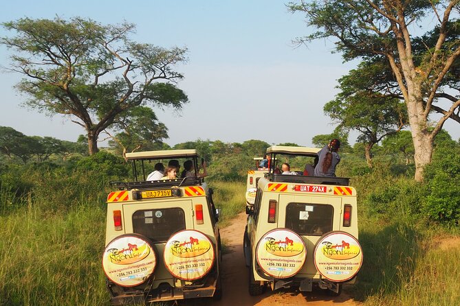 13-Day Wildlife Adventure Trip to the Pearl of Africa - Day 10: Gorilla trekking in Bwindi