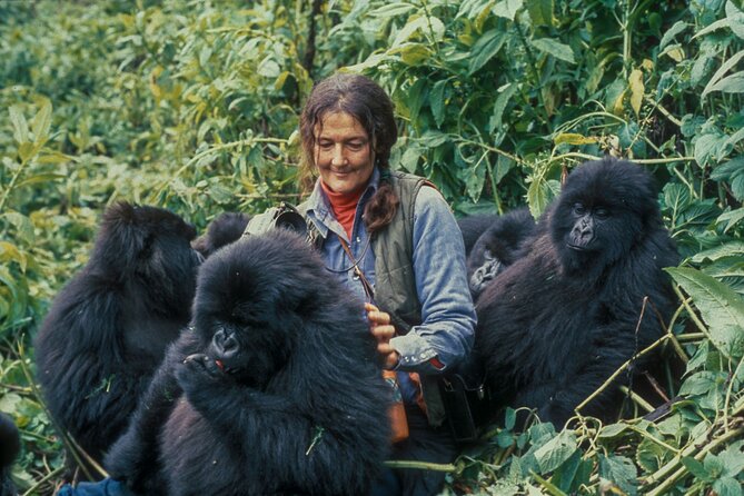 13 Days Wildlife Adventure Trip To The Pearl Of Africa - Why this Uganda route works so well