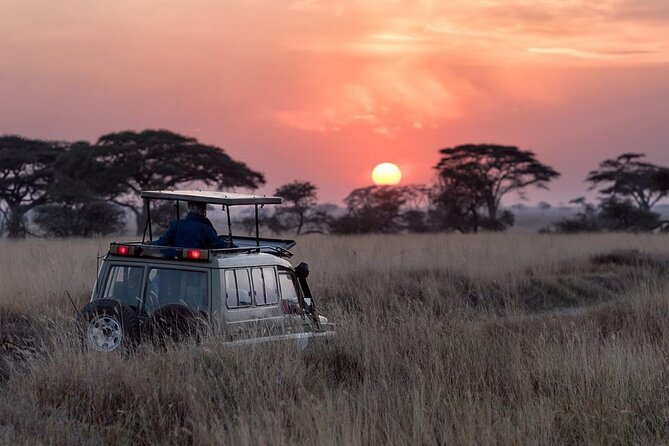 13 Days Wildlife Adventure Trip To The Pearl Of Africa - Ishasha is worth the southern detour