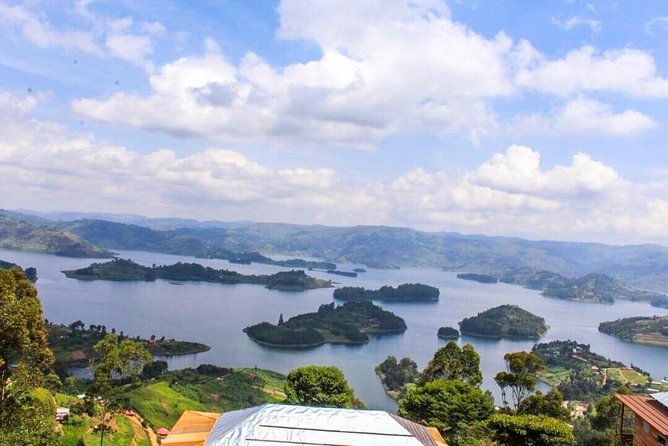 15 Day Gorillas, Chimps and Big 5 Safari Tour - Why this Uganda route offers more than a standard safari
