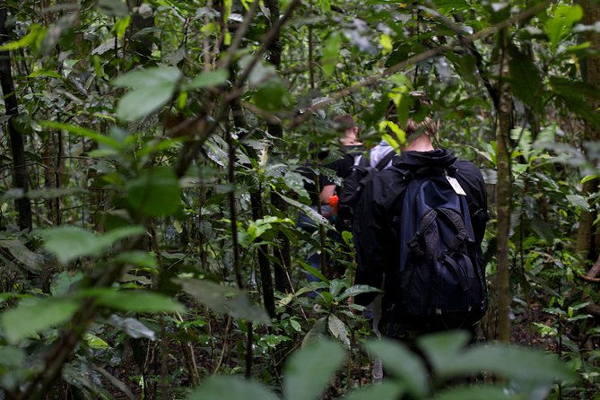 2 Days Chimpazee Safari In kibale Forest Park Uganda. - The 8:00 am briefing at Kanyanchu