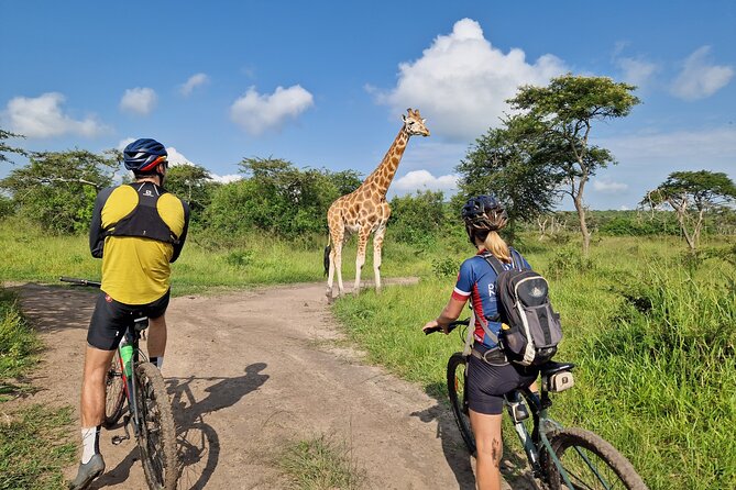 2 Days Cycling Safari To Lake Mburo National Park - Riding inside Lake Mburo National Park