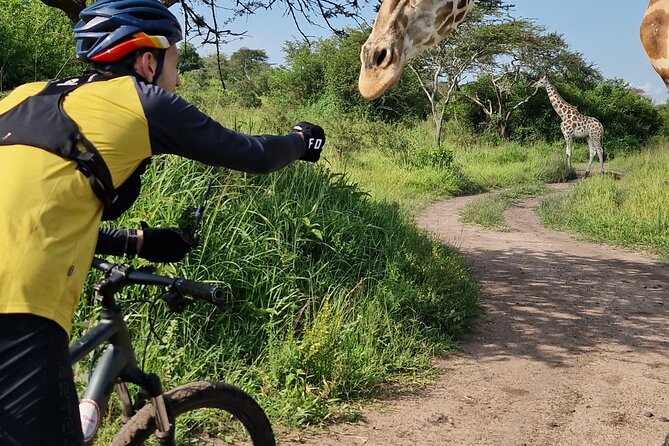 2 Days Cycling Safari To Lake Mburo National Park - Who will enjoy this most