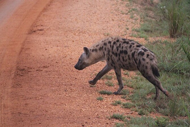 2 days Murchison Falls and Wildlife Game Viewing - What the $690 price really covers