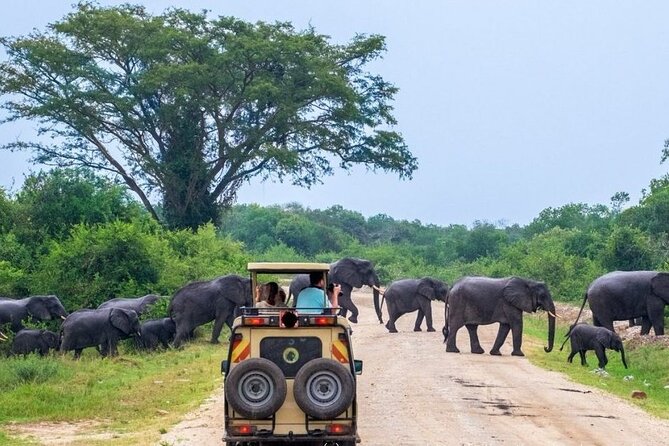 2 Days Murchison Falls Park Vacation - The journey from Kampala shapes the whole day