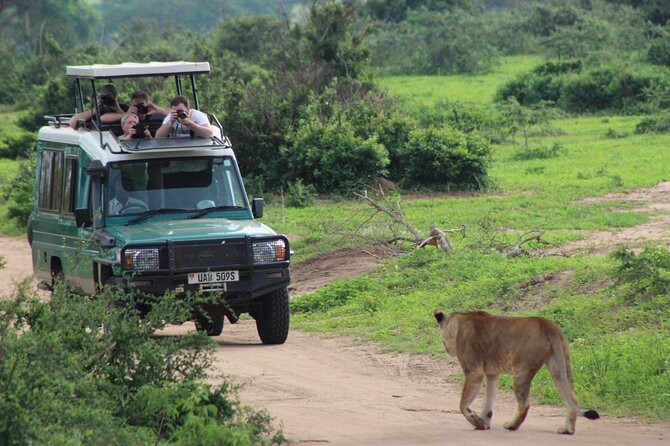 2 Days Murchison Falls Park Vacation - Ziwa Rhino Sanctuary gives you a rare first stop