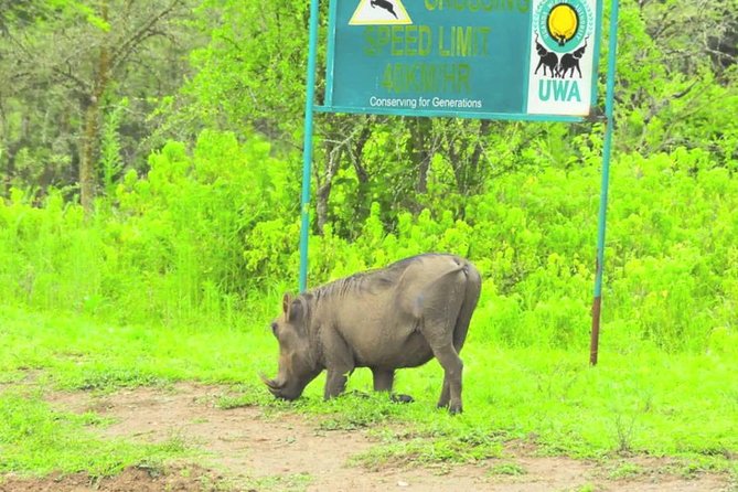 2 Days Popular Safari to Lake Mburo National Park - Overnight accommodation and the value of the package
