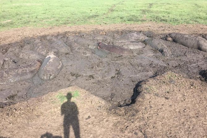 2 Days Safari To Queen Elizabeth National Park with Cruise - What to expect on the Kazinga Channel