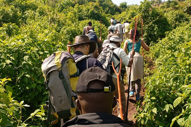 2 Days Sipi Falls Hike and Coffee Tour - Should you book the Sipi Falls hike?
