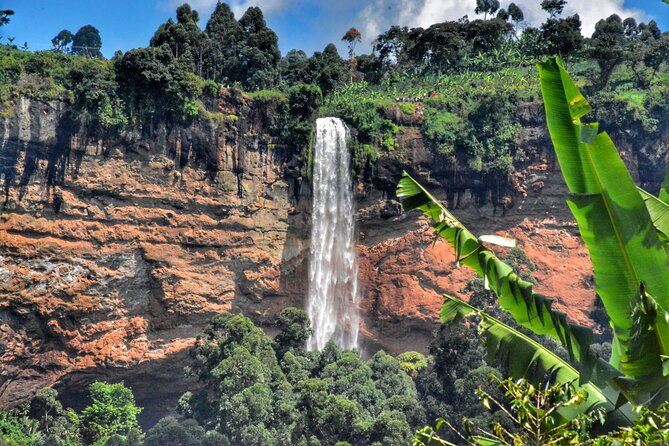 2 Sipi Falls hike and Coffee Tour Experience - What the guides add to the walk
