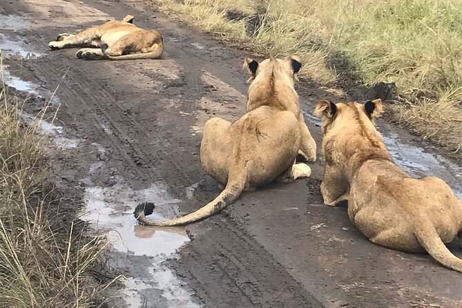 25 day uganda Rwanda kenya and Tanzania safari Zanzibar inclusive - What $25,500 buys you