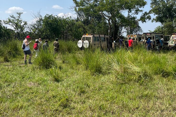 2Days Murchison Falls NP Safari - The long road from Kampala to Murchison Falls
