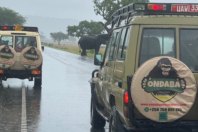 2Days Murchison Falls NP Safari - Day two: a three to five-hour game drive