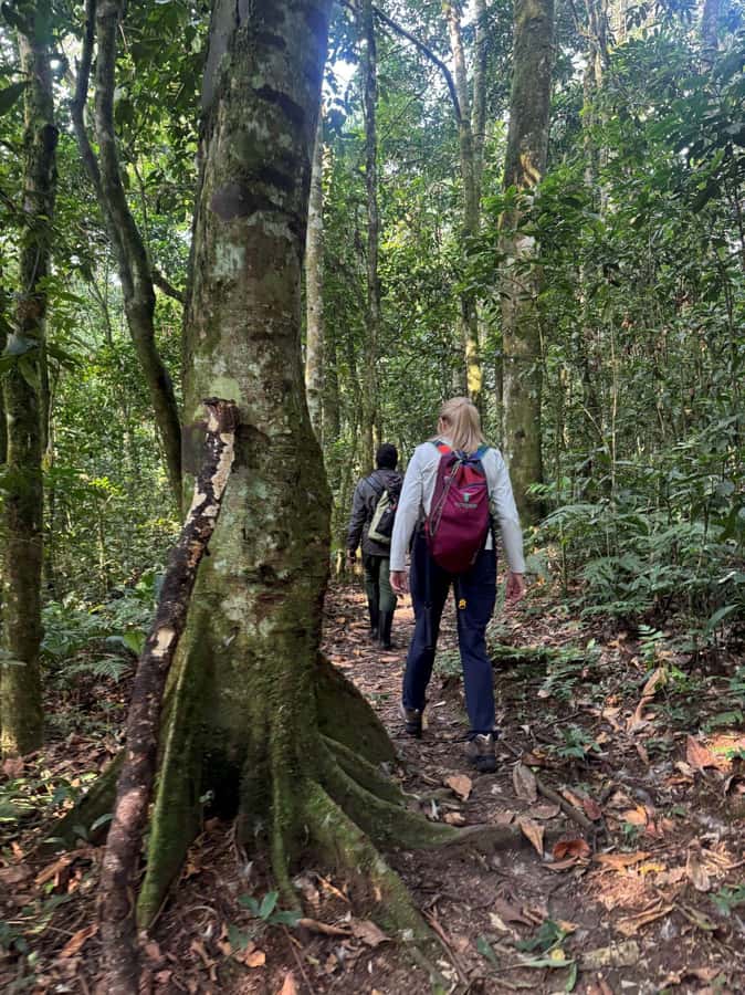 3-Day Gorilla Experience In Uganda - What the $1,850 price really covers