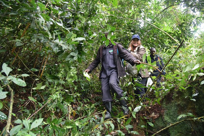 3-Day Gorilla Trekking safari in Bwindi Impenetrable Forest - The guide can make or break the road sections
