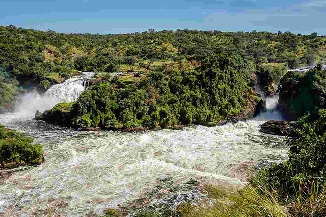 3-Day Mind Refreshing in Murchison Falls National Park - Day 1: From Entebbe to rhinos at Ziwa