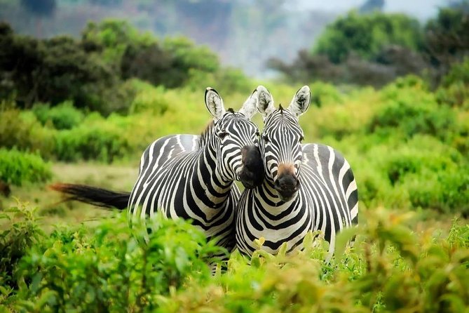 3-Day Mind Refreshing in Murchison Falls National Park - Is $1,600 a fair price?