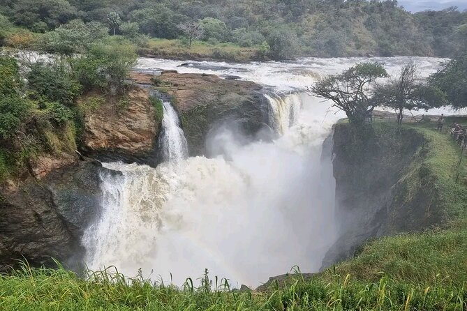 3 Day Murchison Falls' BIG 5 and Wildlife viewing Safari - Day three: the return to Kampala or Entebbe