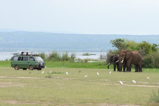 3 Day Murchison Falls' BIG 5 and Wildlife viewing Safari - Practical details that affect your decision