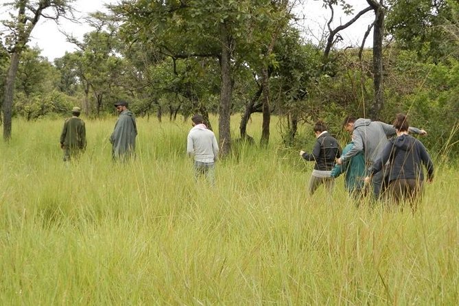 3-Day Murchison Falls National Park - Adventure Safari - Why this three-day safari works