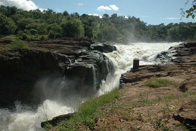 3-Day Murchison Falls National Park - Adventure Safari - Day 2: Game drives on Murchison’s northern bank